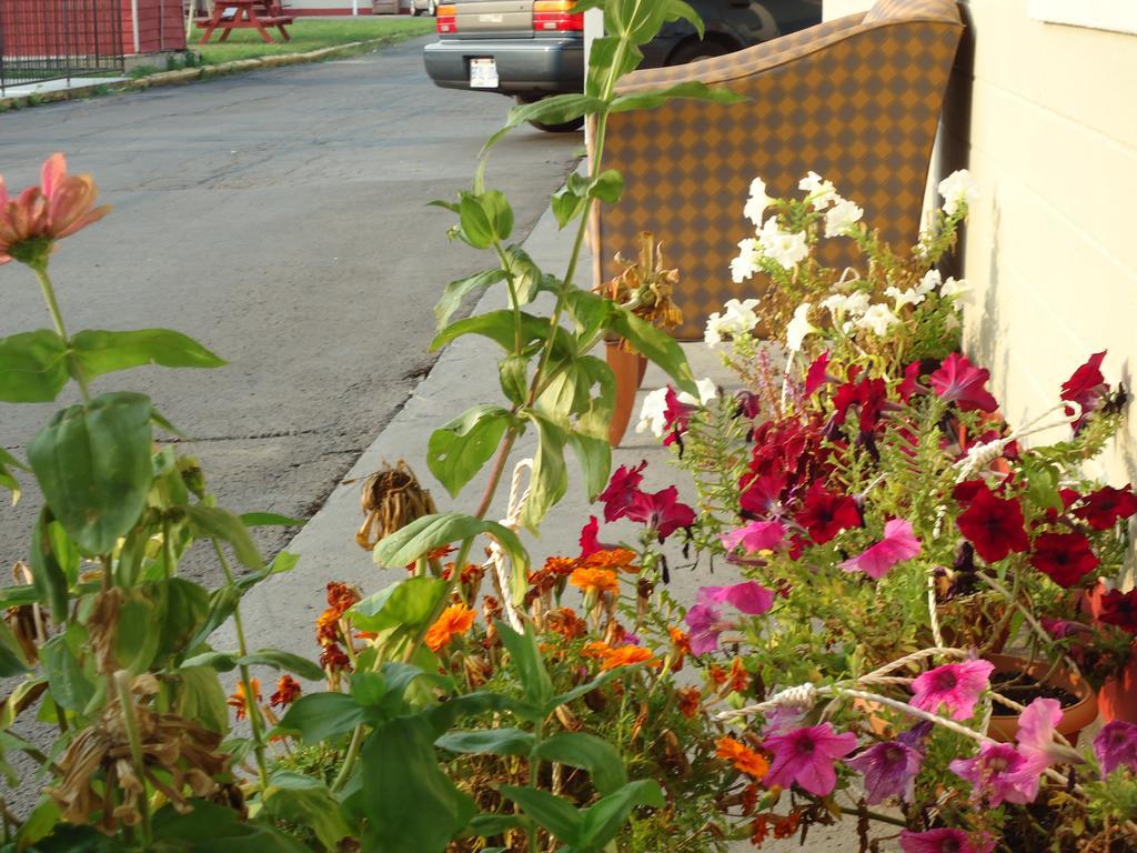 Star Inn By Elevate Rooms Niagara Falls Exterior photo